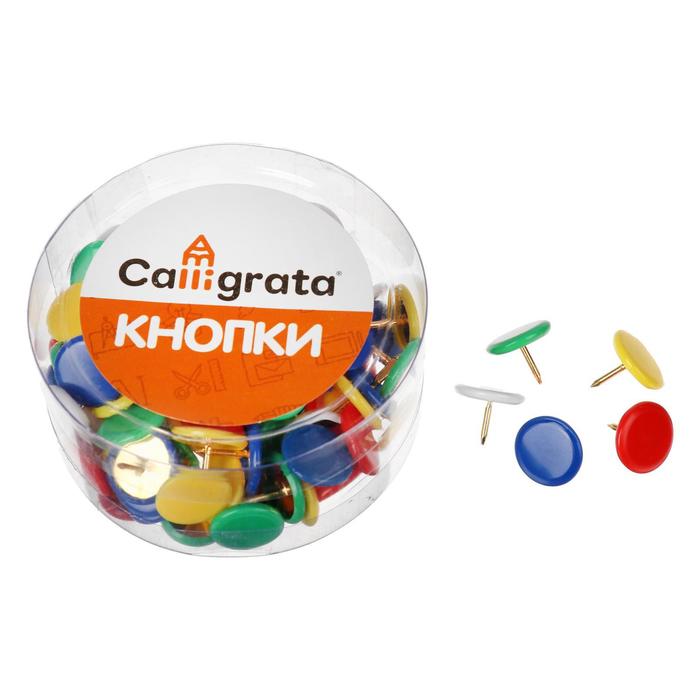 Набор кнопок Calligrataс 545018 цветной головкой, в пластиковой коробке 12 наборов