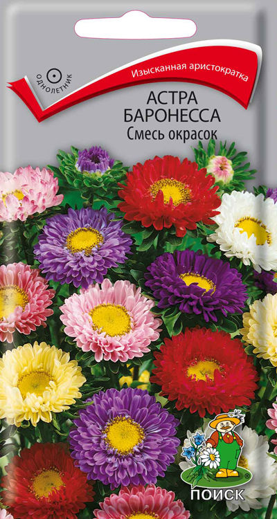 

Семена астра Поиск Баронесса 140733 1 уп.