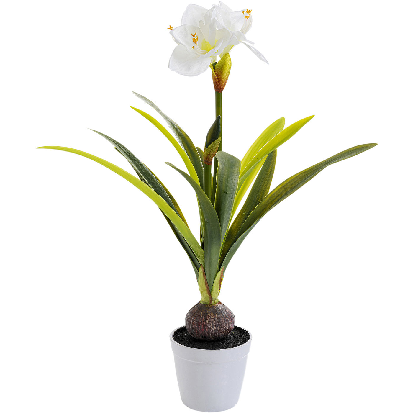 

Предмет декоративный KARE Design, коллекция Amaryllis, 30х78х30 см, Amaryllis