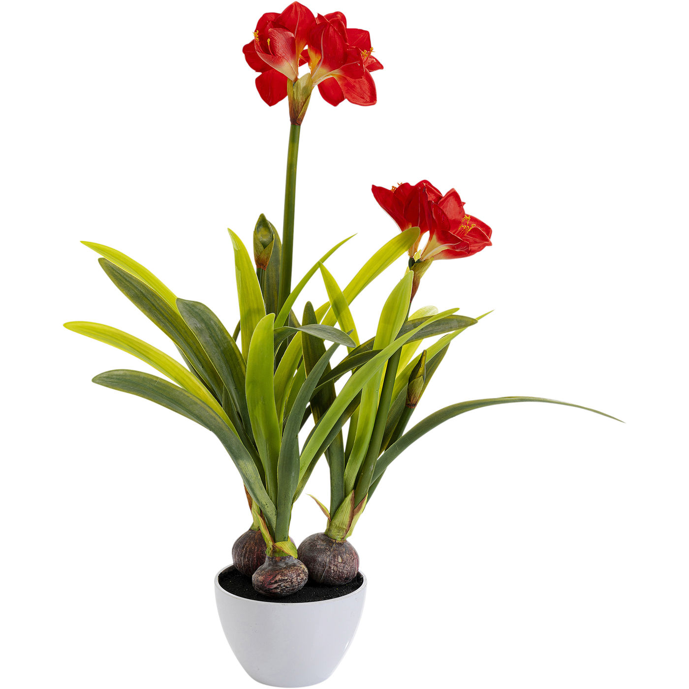 

Предмет декоративный KARE Design, коллекция Amaryllis, 40х97х40 см, Amaryllis