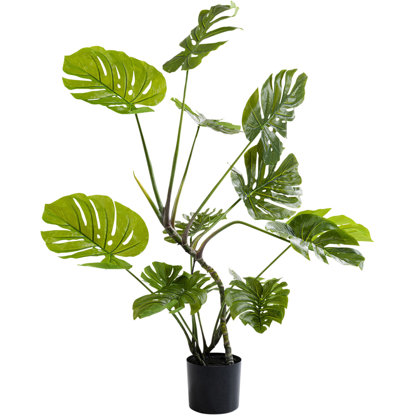 

Предмет декоративный KARE Design, коллекция Monstera, 50х110х40 см, Monstera