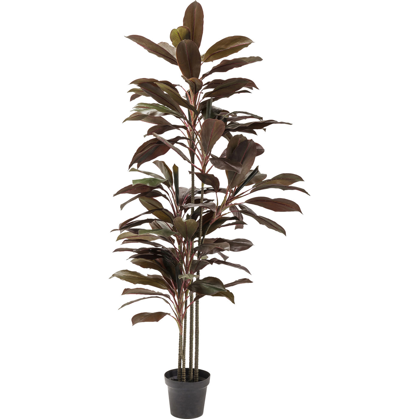 

Предмет декоративный KARE Design, коллекция Cordyline, 35х170х10 см, Cordyline