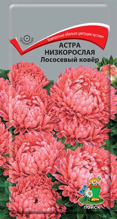 

Семена астра Поиск Лососевый ковер 150124 1 уп.