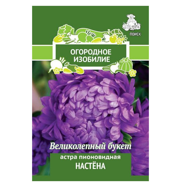 

Семена астра Поиск Настена 706212 1 уп.