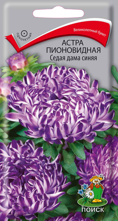 

Семена астра Поиск Седая дама синяя 150268 1 уп.