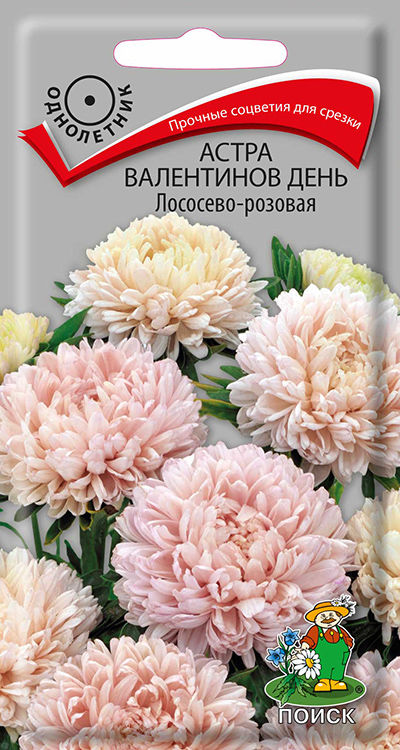 

Семена астра Поиск Валентинов день Лососево-розовая 689188 1 уп.