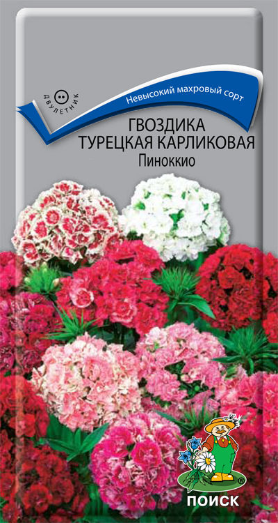 Семена гвоздика Поиск Турецкая карликовая Пиноккио 190788 1 уп.