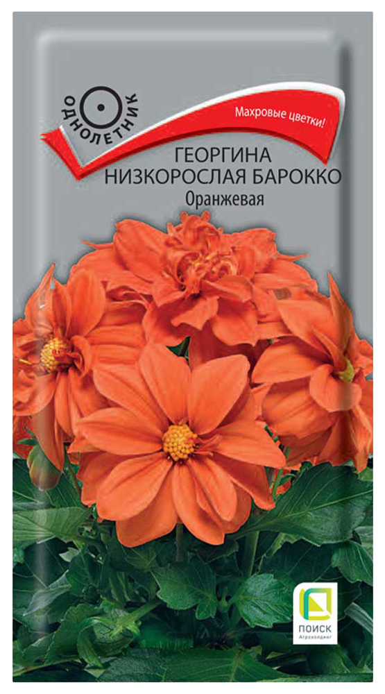 

Семена "Георгина низкорослая. Барокко Оранжевая", 0,1 грамм