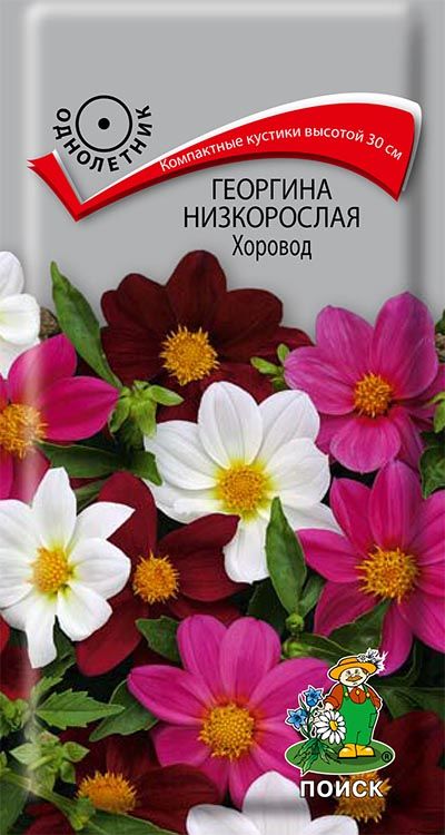 

Семена георгин Поиск Хоровод 702044 1 уп.