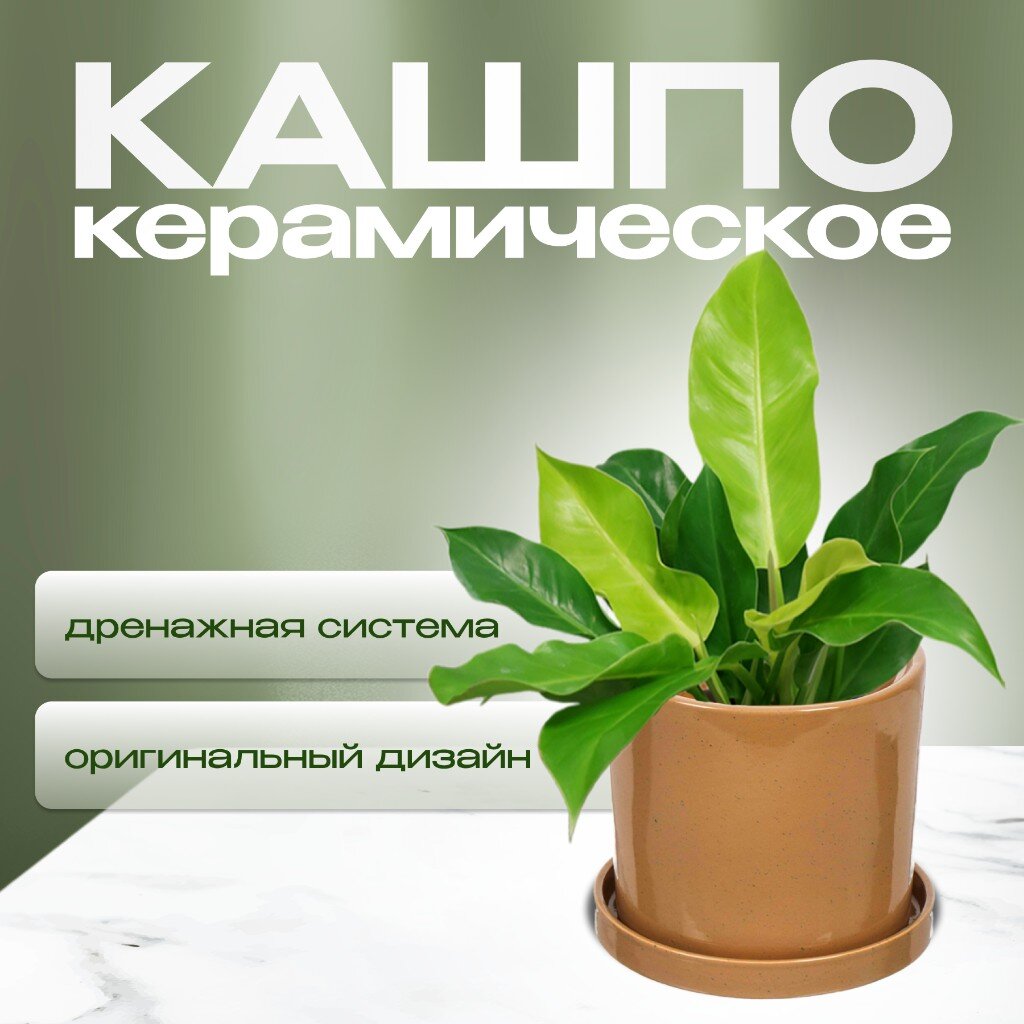 

Кашпо керамика, Лидер 2, 4089, 16х15.5 см, для цветов, латте, Бежевый, Лидер 2