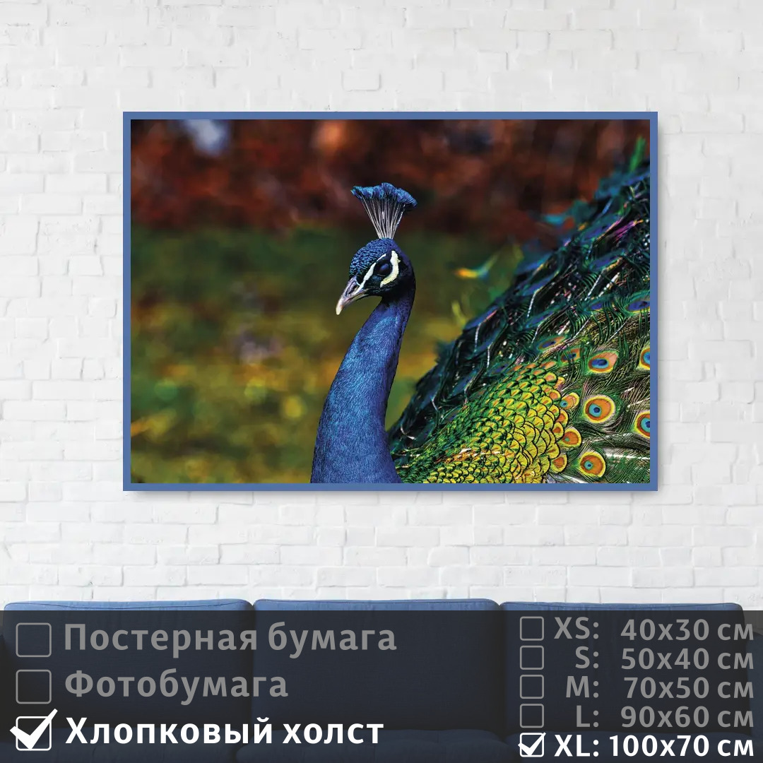 

Постер на холсте ПолиЦентр Голубой павлин с красочным оперением 100х70 см, ГолубойПавлинСКрасочнымОперением1