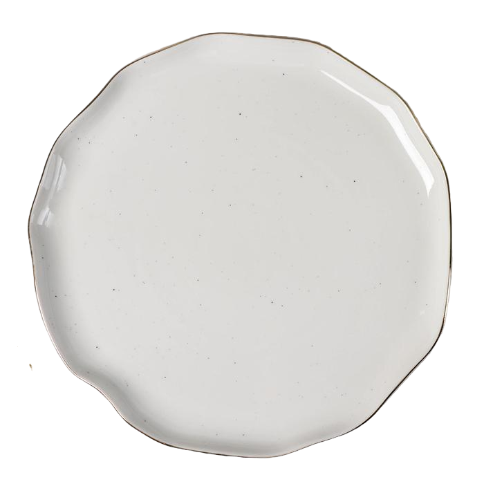 Тарелка обеденная Доляна «Млечный путь», d=25 см, цвет белый в крапинку
