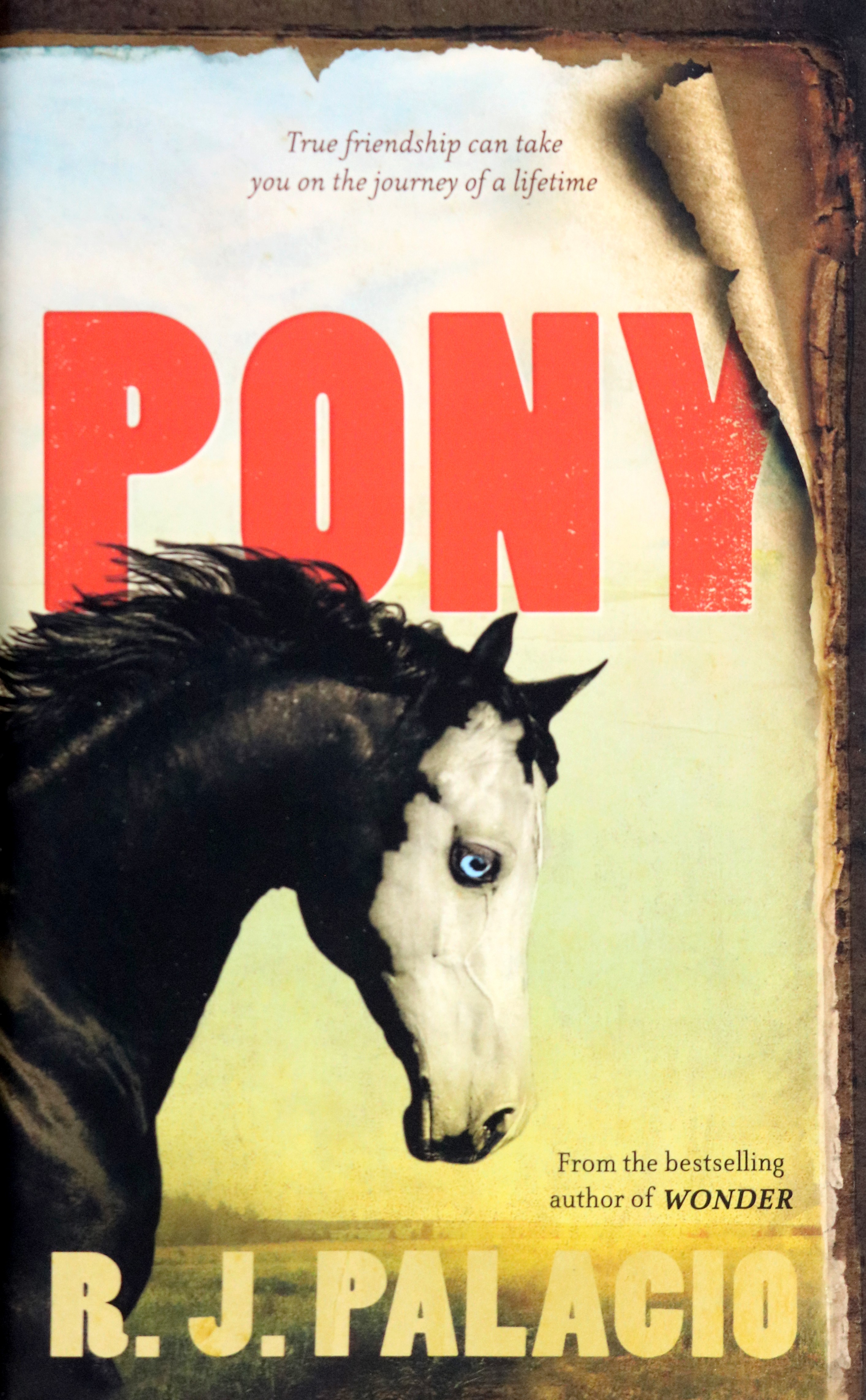 

Pony