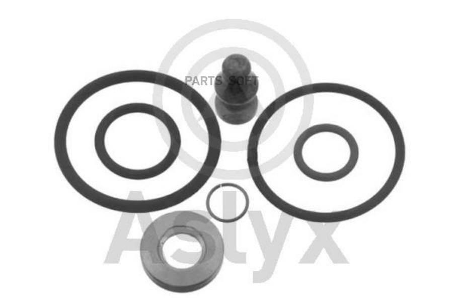 Ремкомплект Топливной Системы Common Rail Vw ASLYX арт. AS-506460