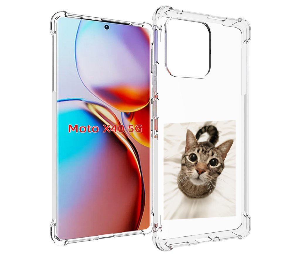 

Чехол MyPads Котик для Motorola Moto X40, Прозрачный, Tocco