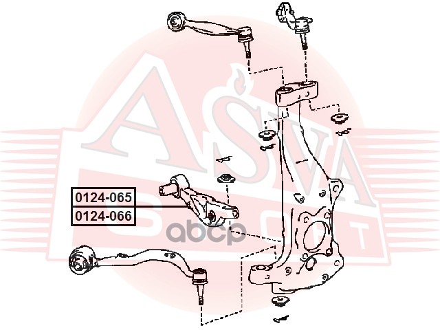 Рычаг Передний Нижний Левый Toyota Lexus Ls460/460l Usf4# 2006.08-2012.09 [Eu] ASVA арт. 0 100043436440