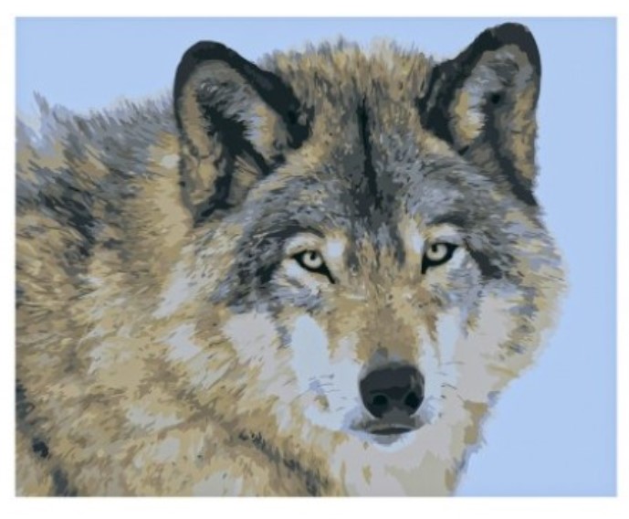 Картина по номерам Рыжий кот Холст с красками Взгляд волка 19 цв 40х50см