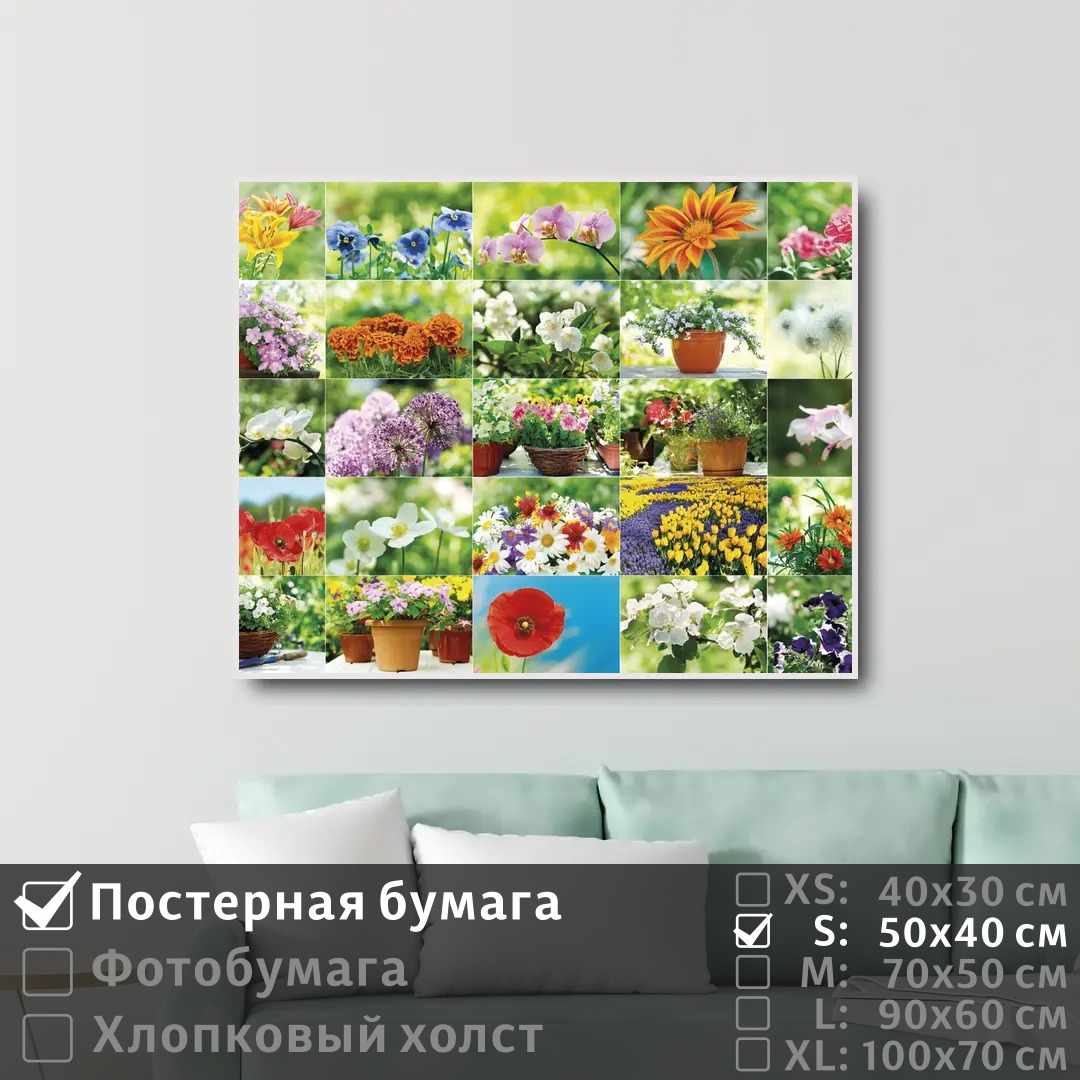 

Постер на стену ПолиЦентр Коллаж из красивых цветов 50х40 см, КоллажИзКрасивыхЦветов