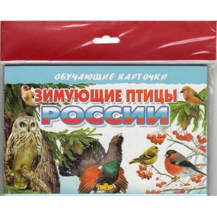 Обучающие карточки Литур Зимующие птицы России карточки для развития ребенка рыбы россии