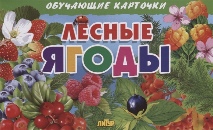 

Обучающие карточки Литур Лесные ягоды