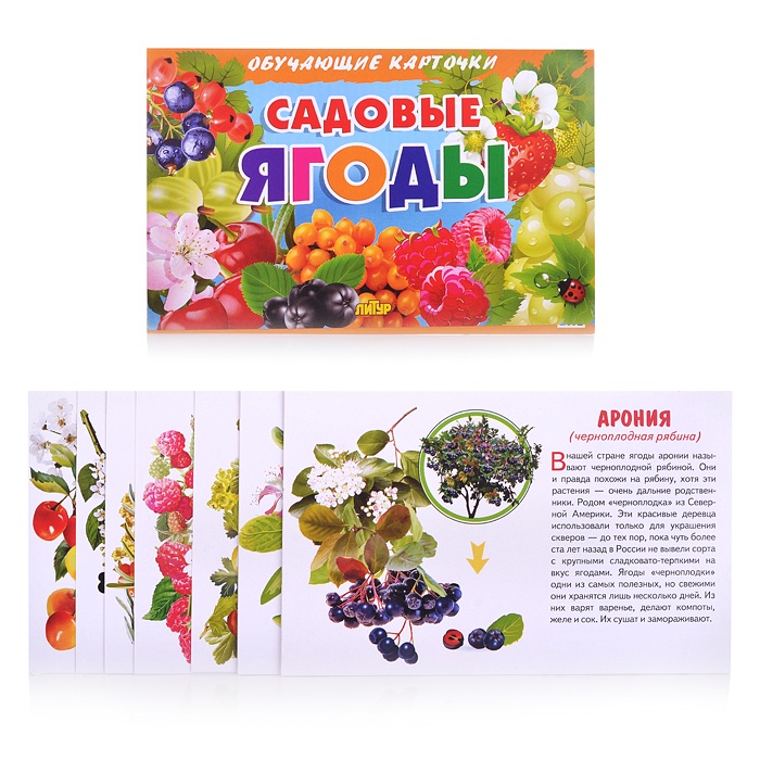 

Обучающие карточки Литур Садовые ягоды