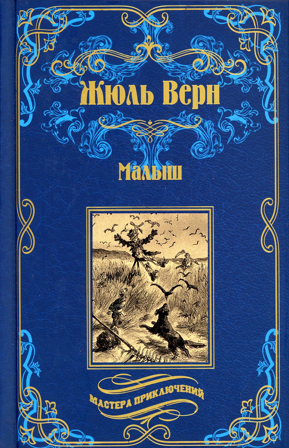 

Книга Малыш