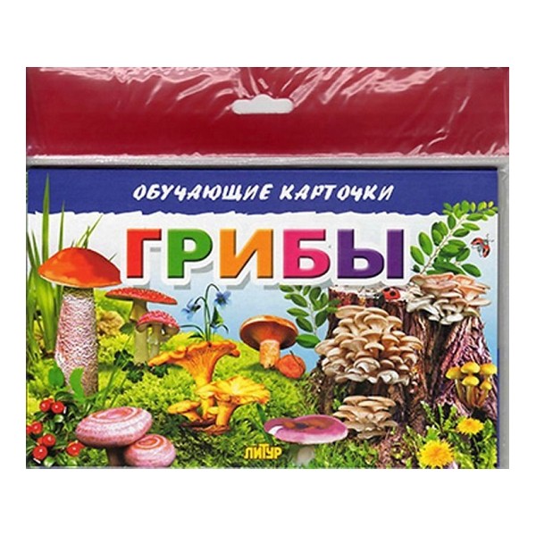

Карточки Грибы в европакете