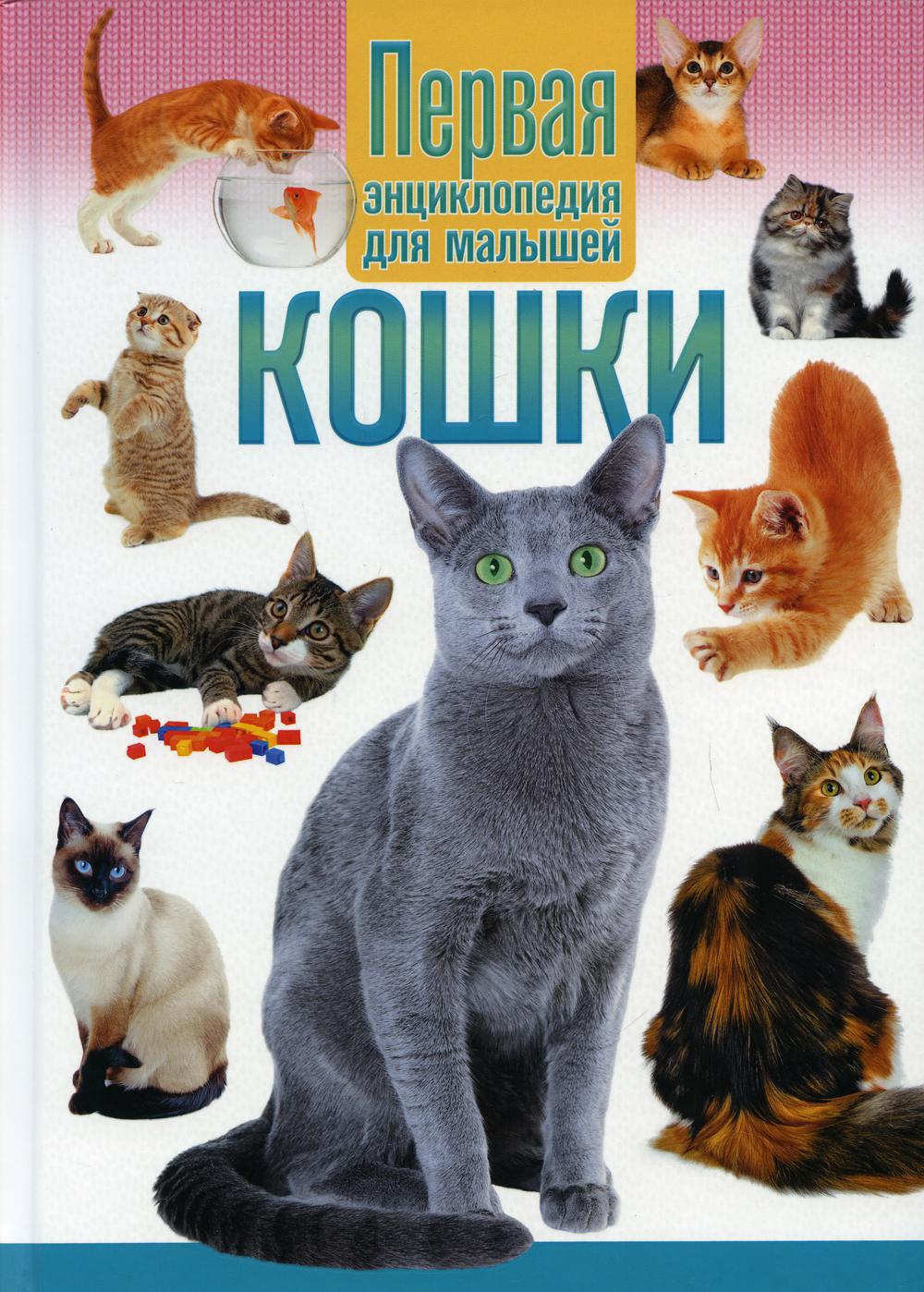 

Кошки