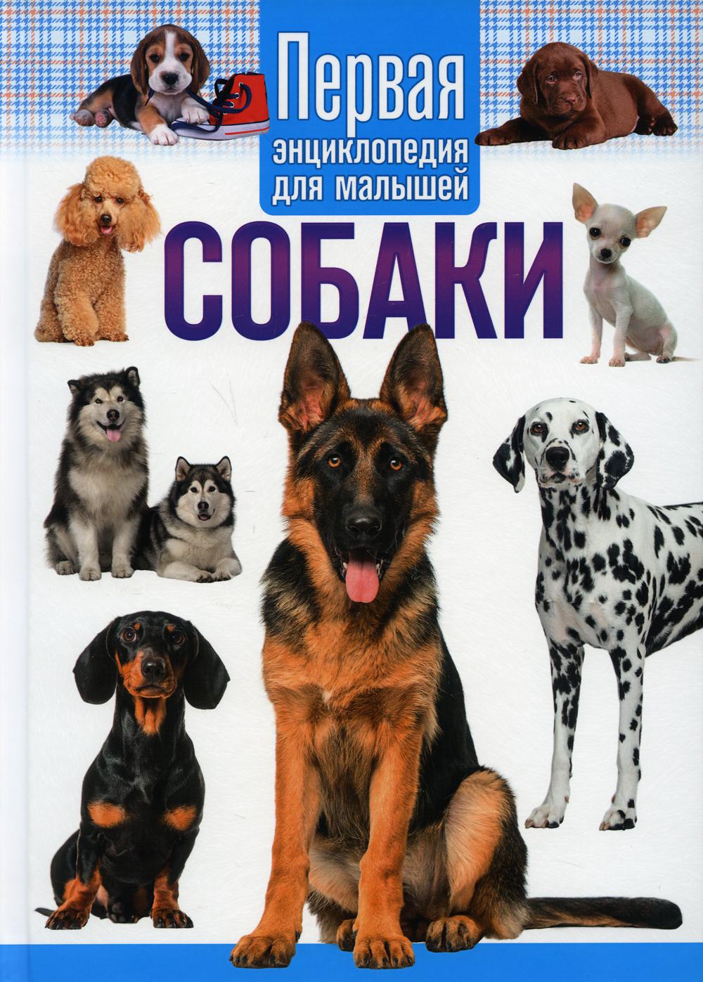 

Собаки