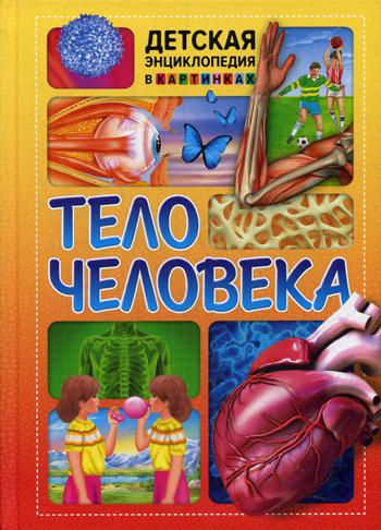 

Книга Тело человека