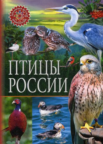 фото Книга птицы россии владис