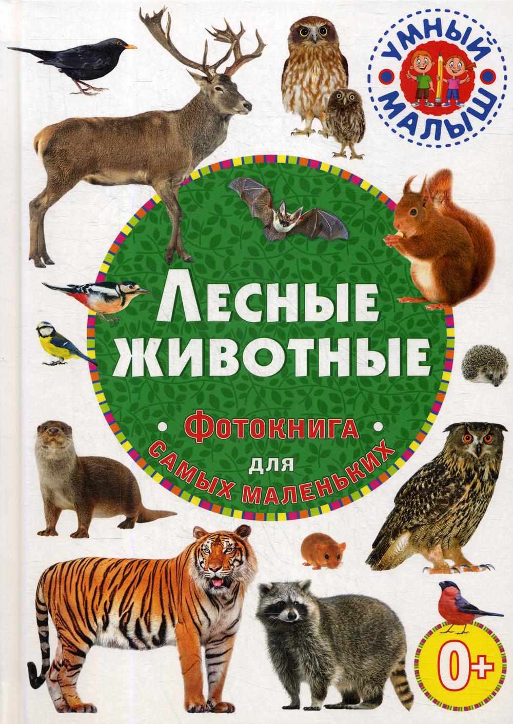

Книга Лесные животные