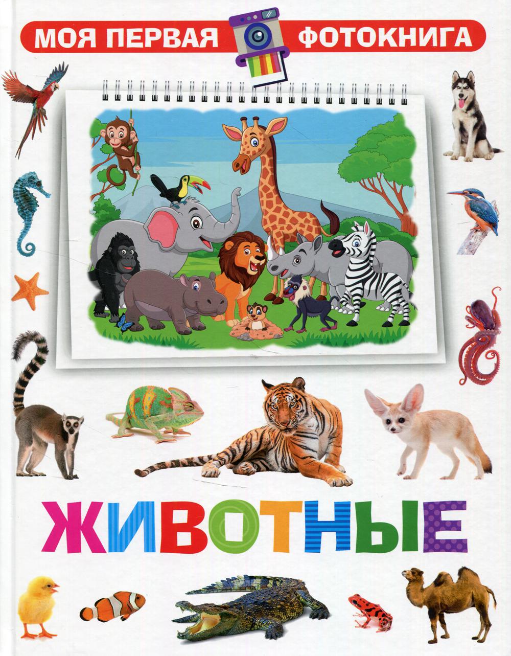 

Животные
