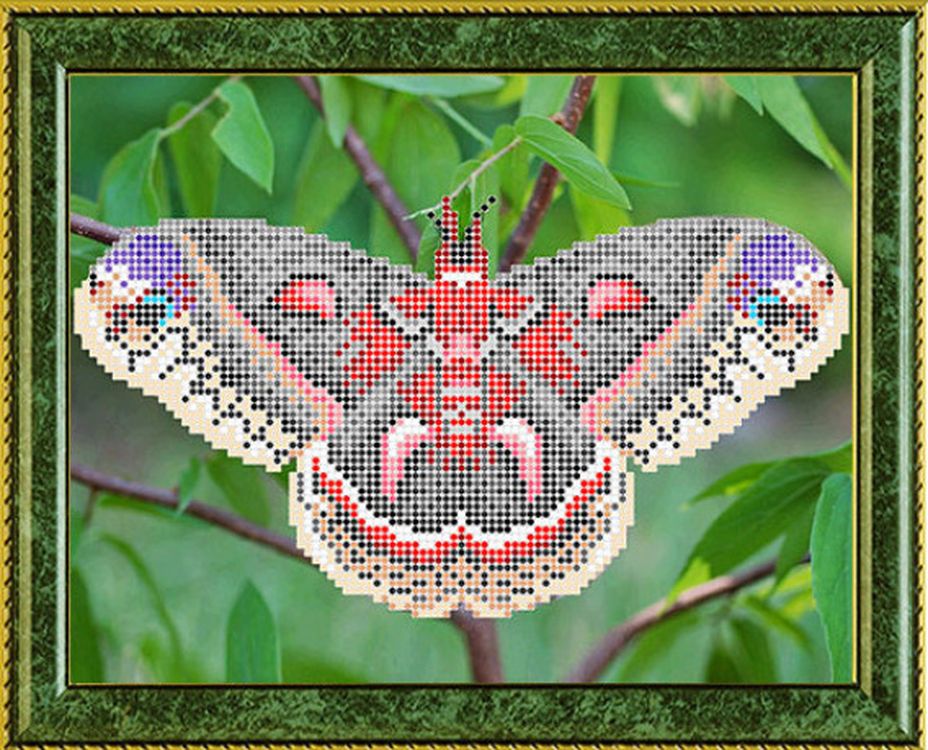 

Рисунок на ткани «Павлиноглазка цекропия»