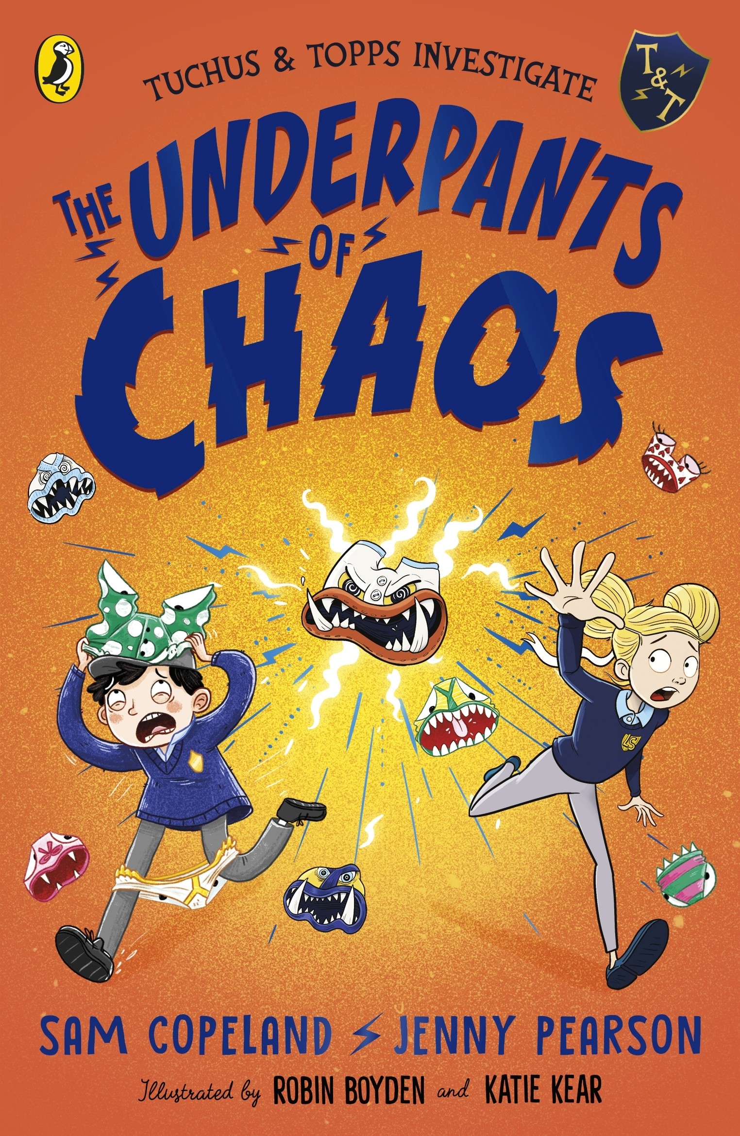 

The Underpants of Chaos