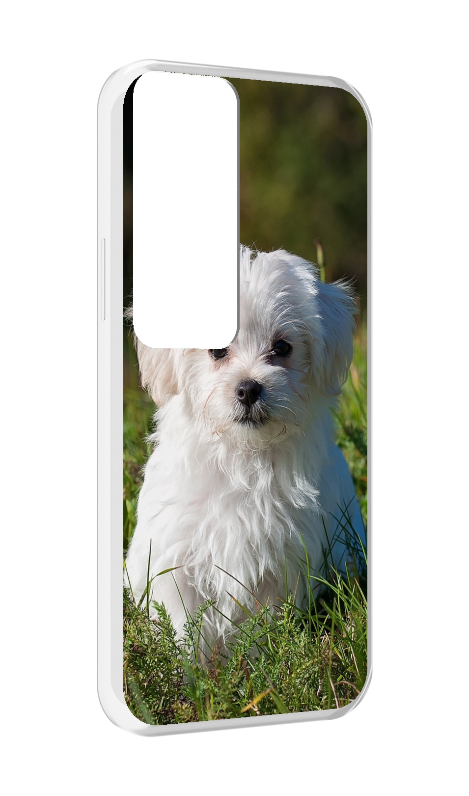

Чехол MyPads мальтииская-болонка для Tecno Pova Neo 2, Прозрачный, Tocco
