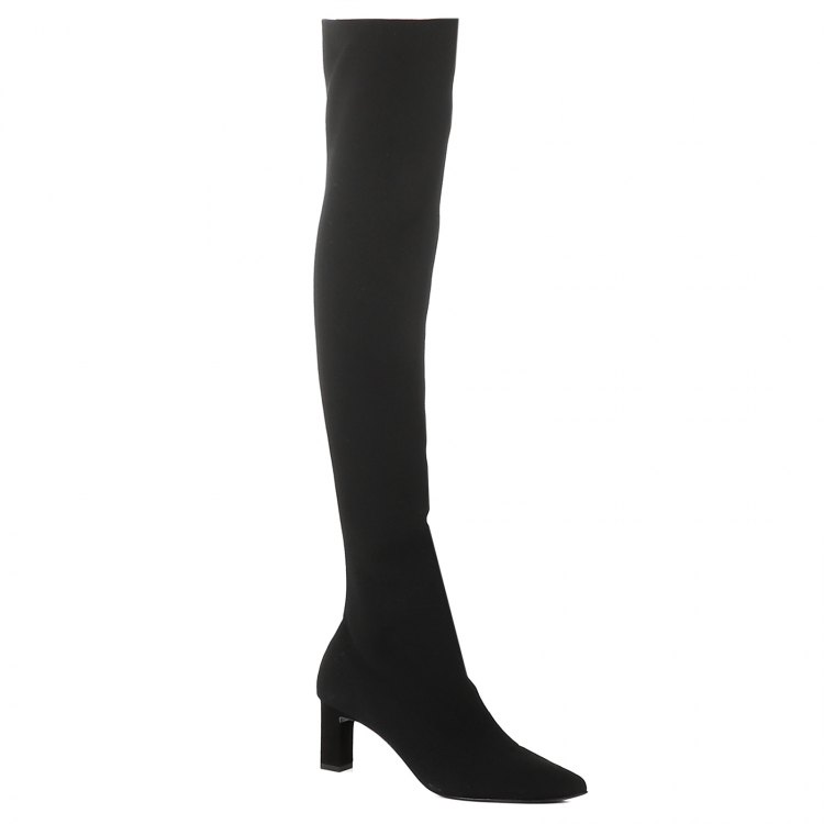 

Ботфорты женские Accessoire Diffusion RAYON черные 36 EU, RAYON