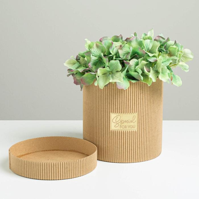 

Коробка подарочная Дарите Счастье Special for you 15 х 15 см, Бежевый