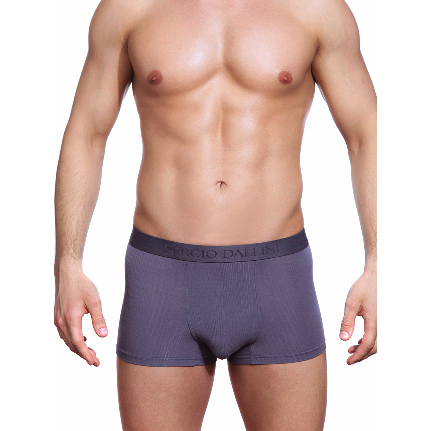 

Трусы мужские Sergio Dallini SG2301-1 фиолетовые L, SG2301-1