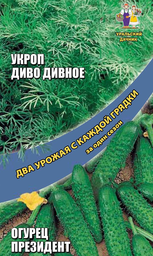 

Семена огурец укроп Президент диво дивное Уральский дачник 34332 1 уп.