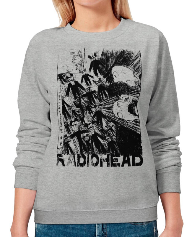 

Свитшот женский Dream Shirts 256-radio-1swi серый 50 RU, 256-radio-1swi