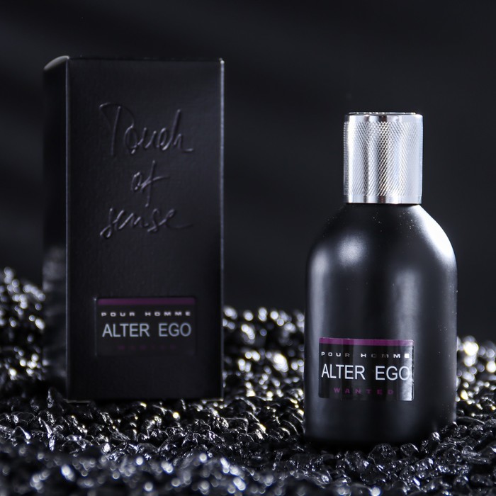 

Туалетная вода мужская Alter Ego Wanted, 100 мл