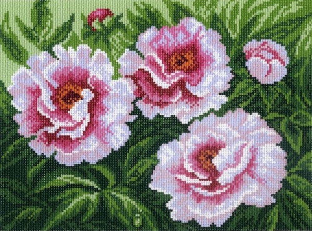 

Рисунок на канве «Пионы», С рисунком