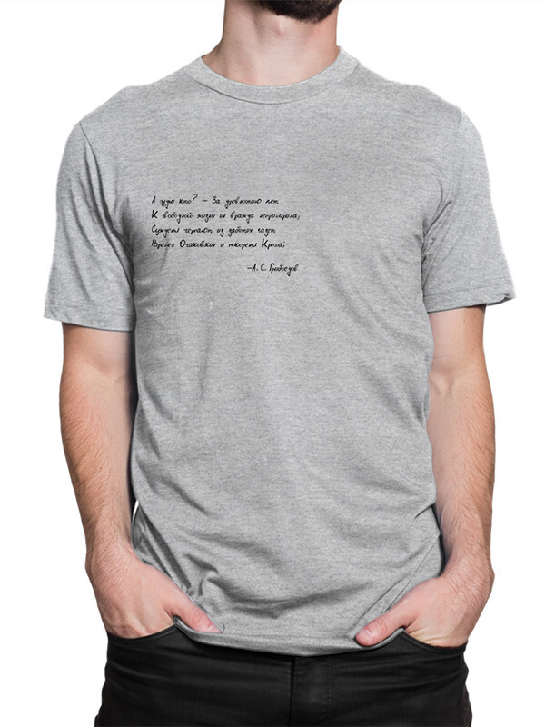 

Футболка мужская Dream Shirts Стихи Грибоедова серая L, Серый, Стихи Грибоедова