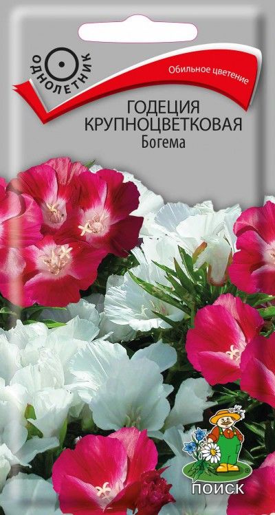 

Семена годеция Поиск Богема 712071 1 уп.