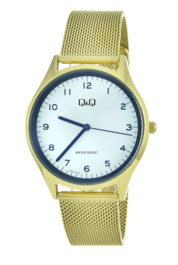 Наручные часы мужские Q&Q QQ Q00A-004P