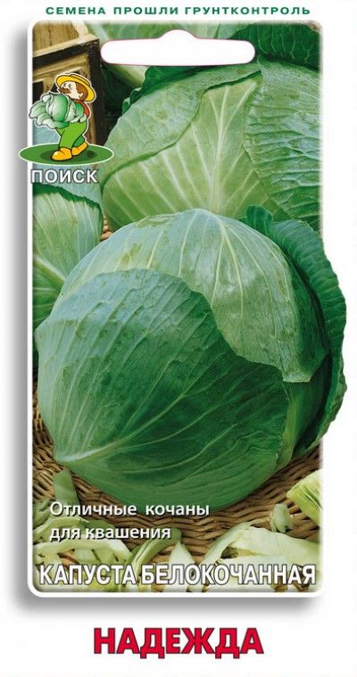 

Семена капуста белокочанная Поиск Надежда 702568 1 уп.
