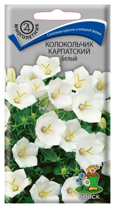 

Семена "Колокольчик карпатский. Белый", 0,1 грамм