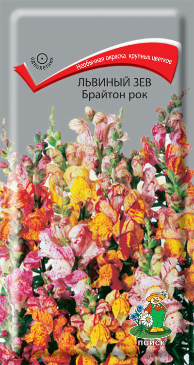 

Семена львиный зев Поиск Брайтон рок 350653 1 уп.