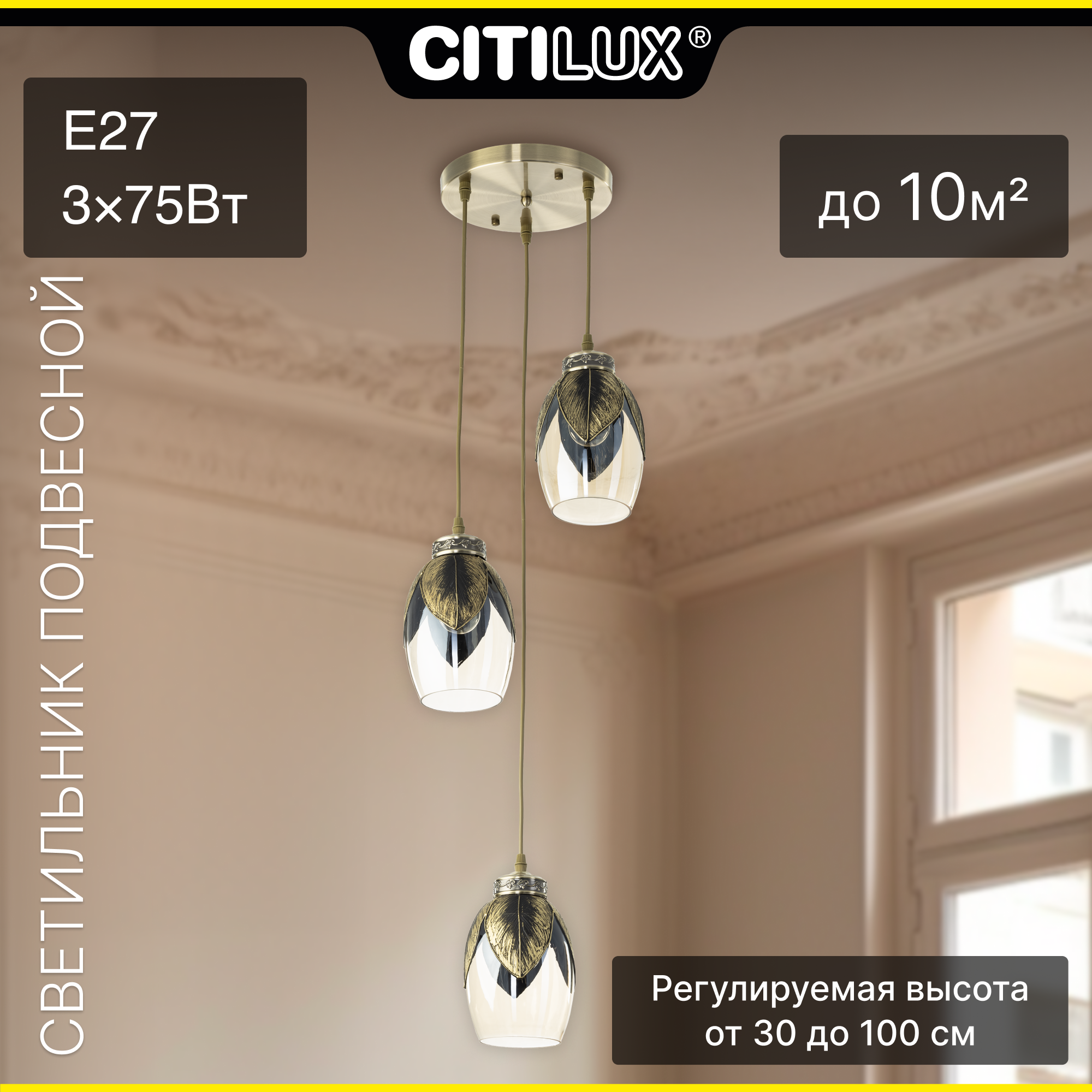 

Светильник Citilux CL420033, CL420033